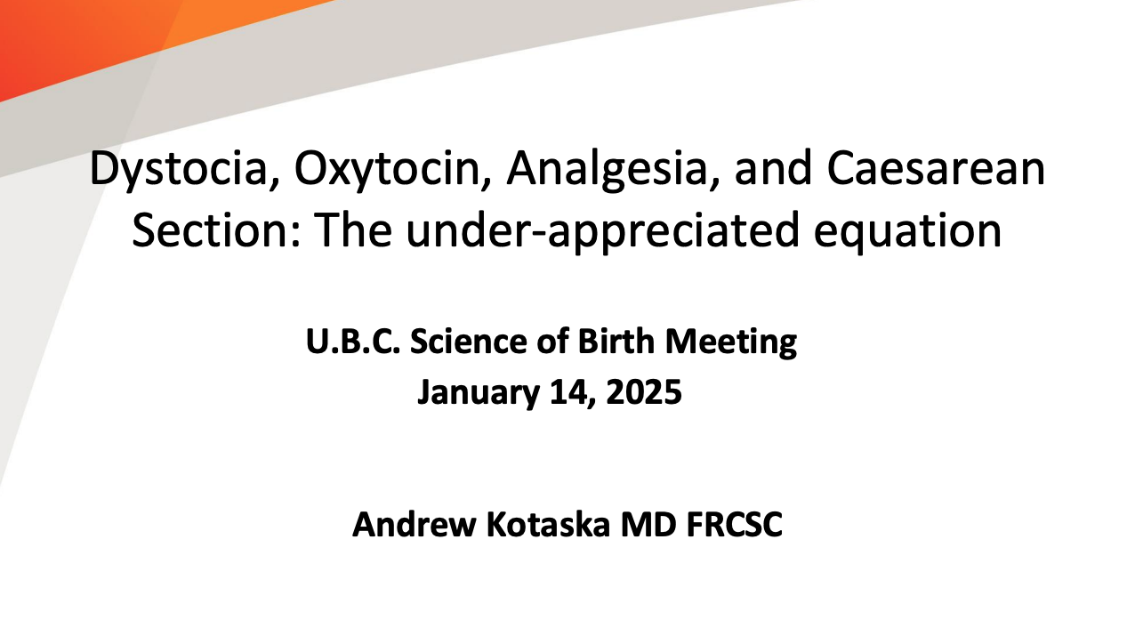 Kotaska_slides