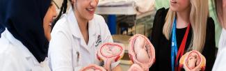 24th International Labour and Birth Research Conference